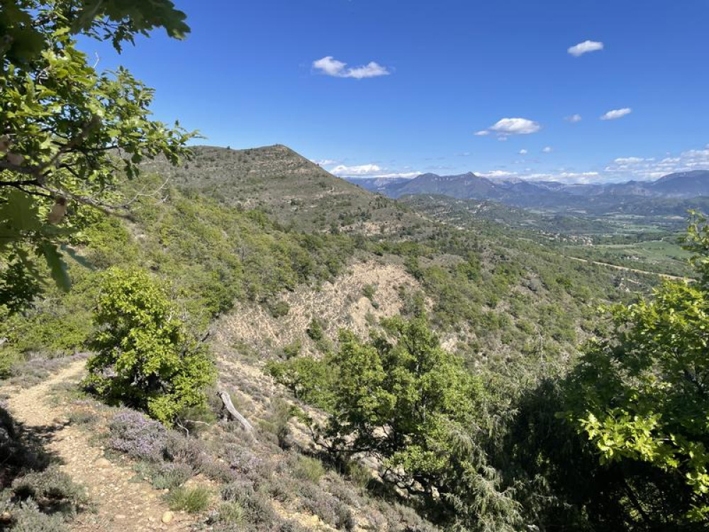 site
